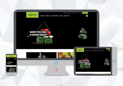 ecommerce website designing and development mumbai