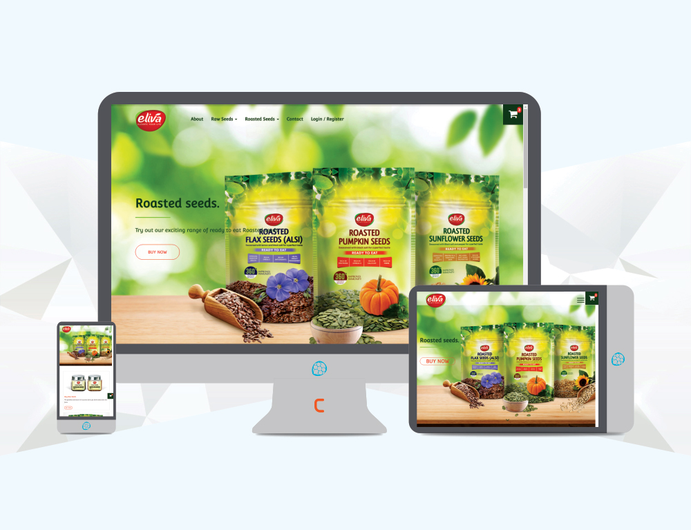 ecommerce brand website designing and development
