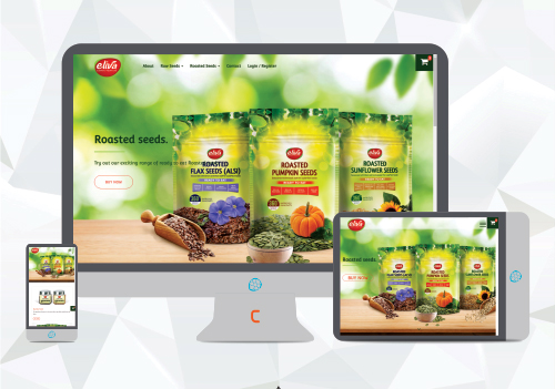ecommerce website designing and development mumbai